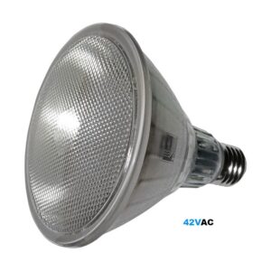 Adeleq Led Λάμπα Γυάλινη Par38 E27 10W 42Vac 75° Θερμό 3000Κ Ip65 13-381000 | homidoo.gr