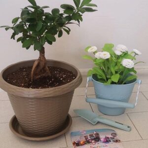 Scrunch Κουβαδάκι Από Ανακυκλώσιμη Σιλικόνη Duck Egg Blue SCR-110012 - Image 7