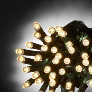 Epam Σειρά 800 LED Θερμό Λευκό 40m Πράσινο Καλώδιο IP44 Με Πρόγραμμα XLALED800-GWW/31V | homidoo.gr