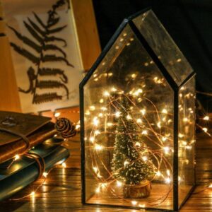 Eurolamp Σειρά 100 Mini LED Ψυχρό Λευκό 9.9m IP44 Σταθερό Με Ασημί Σύρμα 600-11210 - Image 3