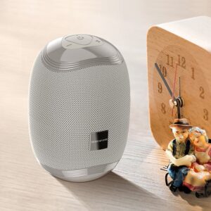 Borofone BR6 Miraculous Φορητό Ασύρματο Ηχείο Bluetooth Peacock-Grey | homidoo.gr