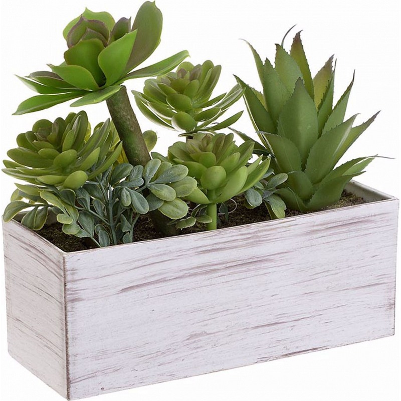 Inart Φυτό Σε Γλάστρα 20x19x8cm Πλαστικό 3-85-475-0211 | homidoo.gr Inart Φυτό Σε Γλάστρα 20x19x8cm Πλαστικό 3-85-475-0211 | homidoo.gr
