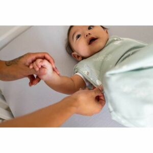 Gro Swaddle Bag Υπνόσακος Χειμωνιάτικος 2.5 tog 3-6 Μηνών Woodland 491584 - Image 5