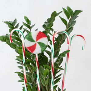 Eurolamp Σειρά 4 Χρωματιστών Γλειφιτζουριών Με 40 LED Θερμό Λευκό Πρόγραμμα Υ70cm IP44 Ηλιακού Συλλέκτη 600-11914 - Image 2