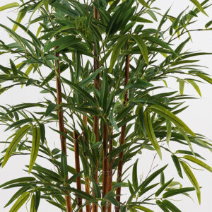 Inart Διακοσμητικό Φυτό Σε Γλάστρα Rhapis Palm Φ60x120εκ Πράσινο 391-000012 - Image 2